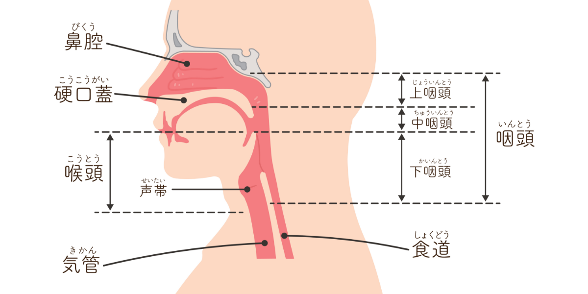 喉のイガイガはなぜ起こる？