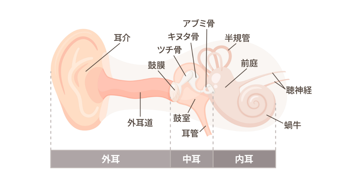 天気痛が起きるメカニズム